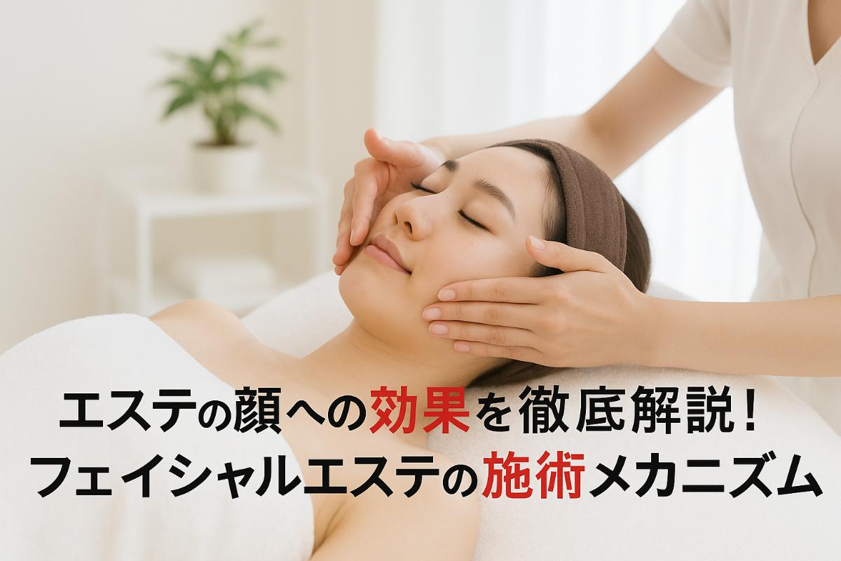 ブログの写真